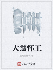 大楚怀王